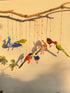 Wings of Tradition - Stuffed bird decor hanging set of 7