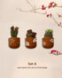 Rainbow Garden Oasis- Terracotta decorative wall planters set