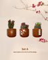 Boho Sunburst - Terracotta decorative wall planters set