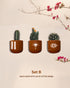 Boho Sunburst - Terracotta decorative wall planters set
