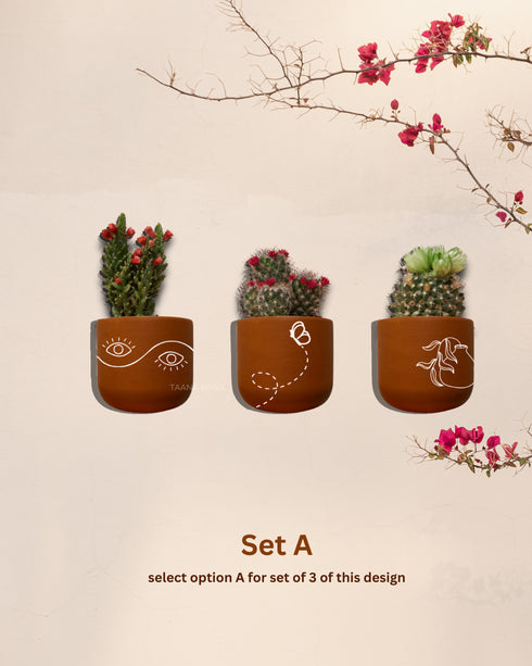 Sun-kissed Wilderness - Terracotta decorative wall planters set