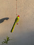 Plum Headed Parakeet - Stuffed bird decor hanging