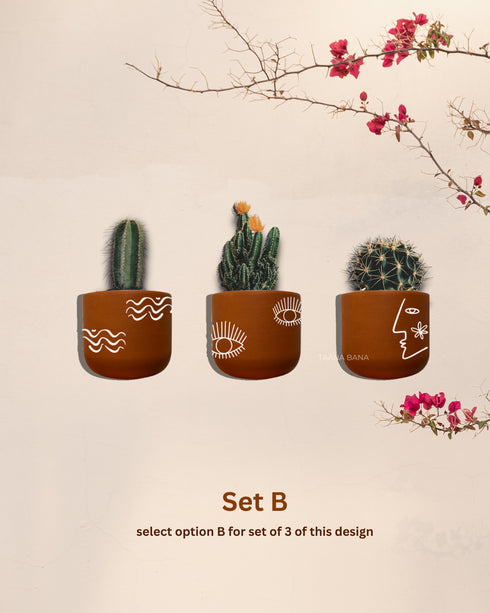 Sun-kissed Wilderness - Terracotta decorative wall planters set