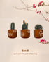Sun-kissed Wilderness - Terracotta decorative wall planters set