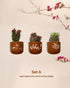 Beach Me Good - Terracotta handpainted wall planters set