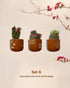 Nature's Sketch - Terracotta decorative wall planters set