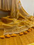 Beige Golden Linen Tissue Saree