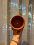 Sun-kissed Wilderness - Terracotta decorative wall planters set