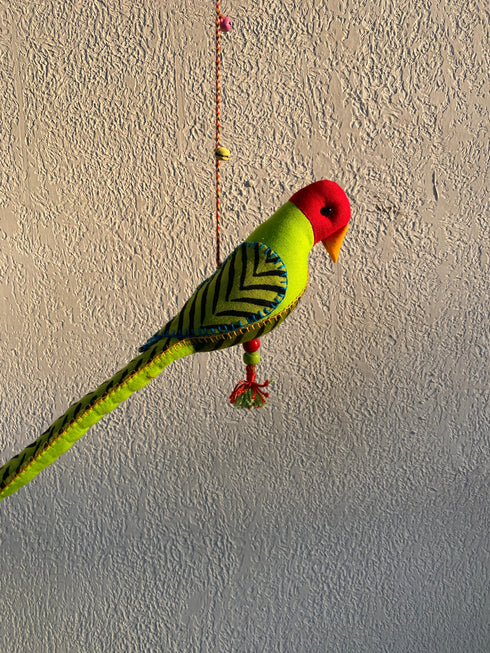 Plum Headed Parakeet - Stuffed bird decor hanging
