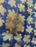 Flower Indigo Bagh Print Banarasi Saree