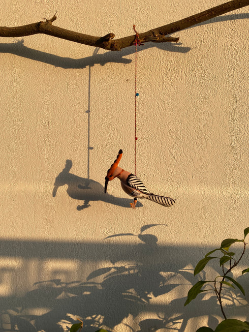 Tangerine Hoopoe - Stuffed bird decor hanging