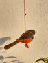 Sienna smokey sparrow- Stuffed bird decor hanging