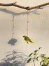 Green Finch of Sunshine - Stuffed bird decor hanging