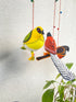 Wings of Tradition - Stuffed bird decor hanging set of 5