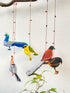 Wings of Tradition - Stuffed bird decor hanging set of 5