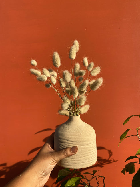 Bunny tails - Minimal natural dry grass home decor