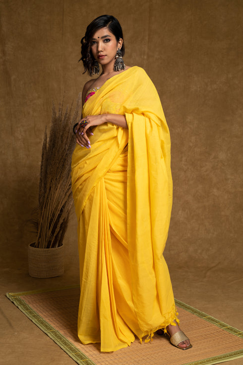 Shanaya Saree