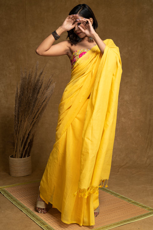 Shanaya Saree