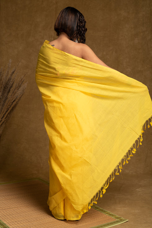 Shanaya Saree